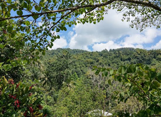 jamaica/port-antonio/landmark/restoration-village-farm