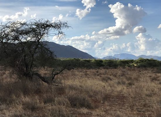 kenya/samburu-region/landmark/buffalo-springs-national-reserve