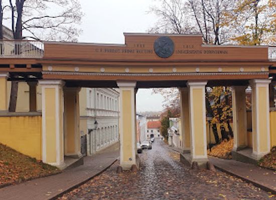 estonia/tartu-university/landmark/tartu-angel-s-bridge