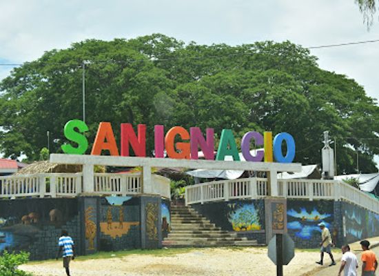 belize/the-cayes/landmark/green-iguana-conservation-project