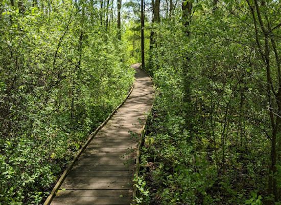 wisconsin/kettle-moraine-state-forest/landmark/kettle-moraine-low-prairie-state-natural-area