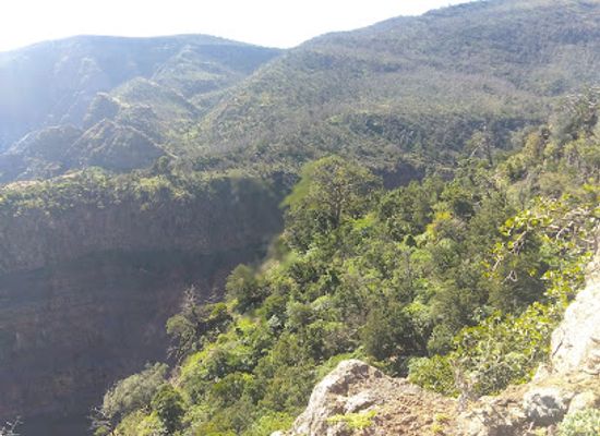 djibouti/day-forest-national-park/landmark/foret-de-day