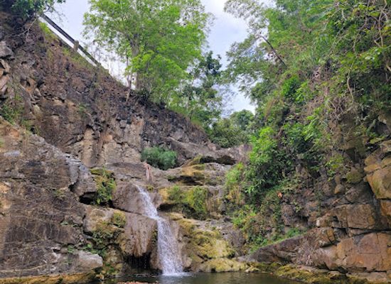 puerto-rico/yunque-national-forest/landmark/el-ultimo-brinco