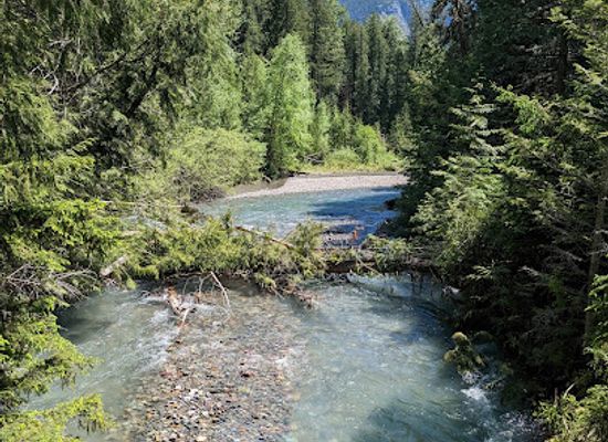 montana/glacier-national-park/landmark/trail-of-the-cedars-nature-trailhead