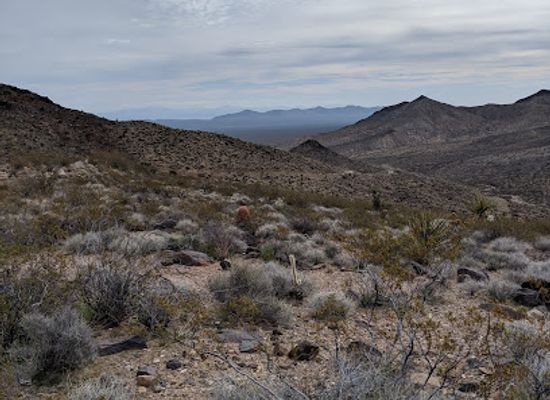 california/colorado-desert/landmark/the-mojave-road-historical-marker