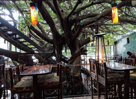 costa-rica/monteverde/landmark/tree-house-restaurante