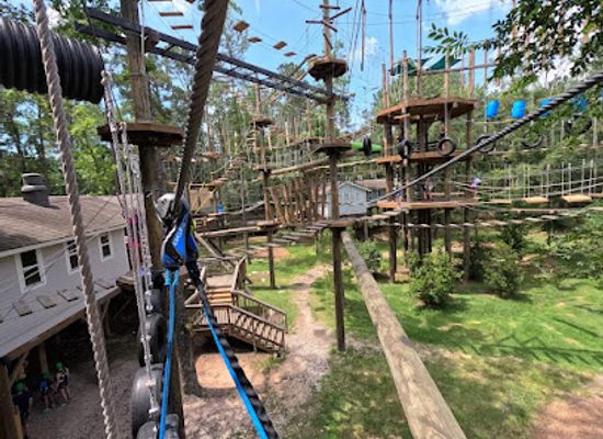 texas/the-woodlands/landmark/texas-treeventures