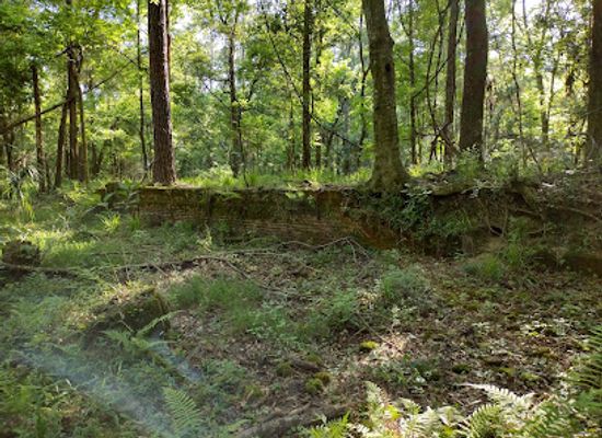 florida/southeast-florida/landmark/drew-mansion-site