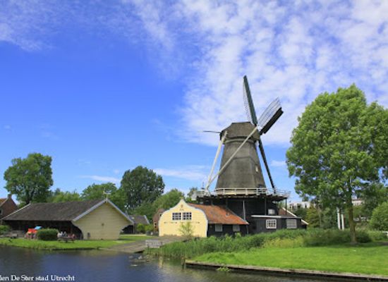 netherlands/betuwe/landmark/molen-de-ster