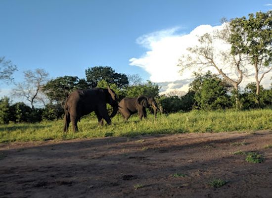 malawi/lilongwe-plain/landmark/majete-wildlife-reserve
