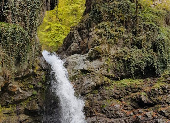 georgia/black-rock-mountain-state-park/landmark/black-grouse-waterfall