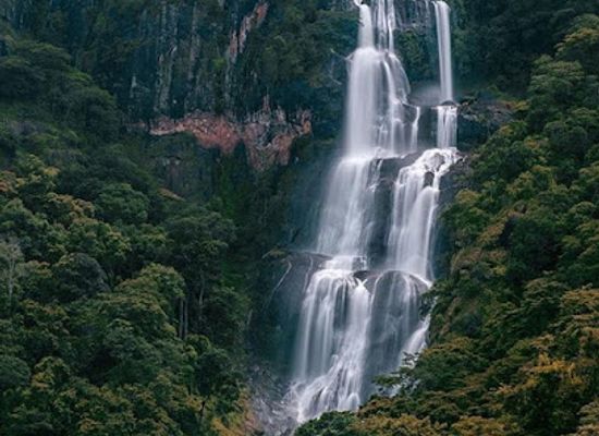 tanzania/ruaha-region/landmark/udzungwa-mountains-national-park