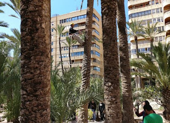 spain/alicante/el-palmeral/landmark/museo-del-palmeral