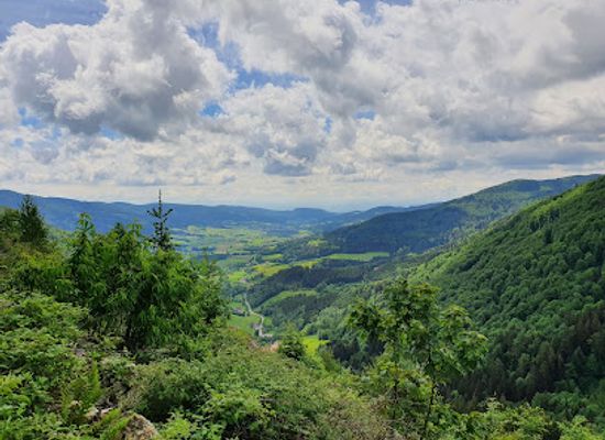 austria/waldviertel/landmark/ysperklamm-wildes-wasser-wilder-wald