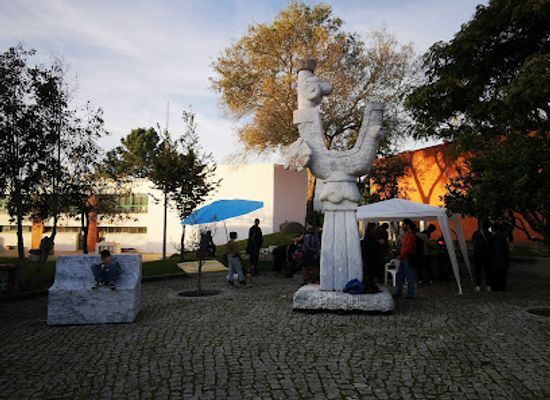 portugal/caldas-da-rainha/landmark/centro-de-artes