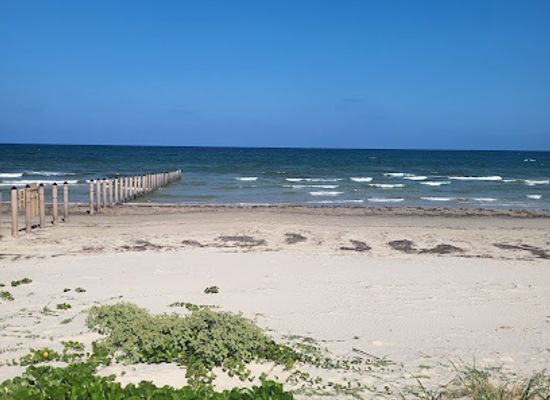 texas/south-texas/landmark/the-pilings