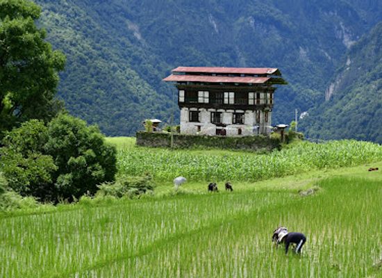 bhutan/gasa/landmark/namgay-adventure-travels