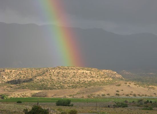 colorado/colorado-plateau/landmark/mcelmo-canyon