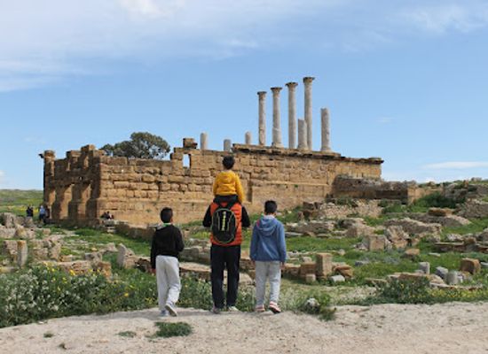 tunisia/tunisian-sahara/landmark/thuburbo-majus