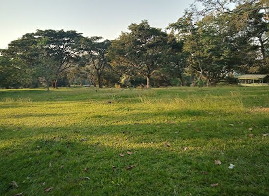 uganda/central-region/landmark/entebbe-botanical-garden