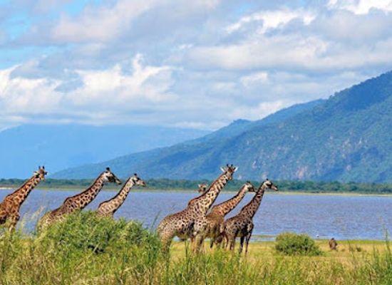 tanzania/mahale-mountains/landmark/lake-manyara-national-park