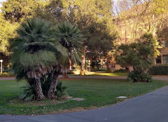 california/palo-alto/landmark/escondido-turnaround