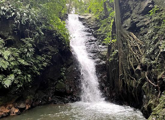costa-rica/monteverde-cloud-forest-biological-reserve/landmark/catarata-los-murcielagos-monteverde-waterfall