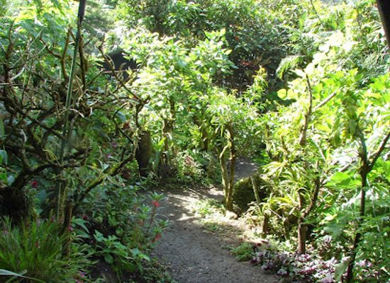 costa-rica/monteverde-cloud-forest/landmark/jardin-de-orquideas-monteverde