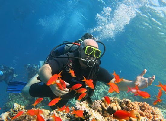 egypt/sharm-el-sheikh/landmark/egipet
