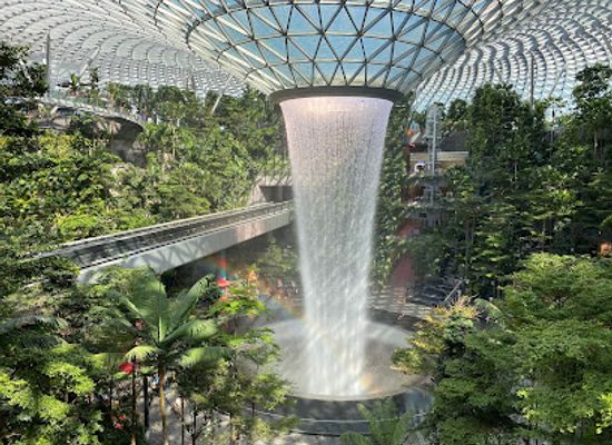 singapore/changi/landmark/shiseido-forest-valley-jewel-changi-airport