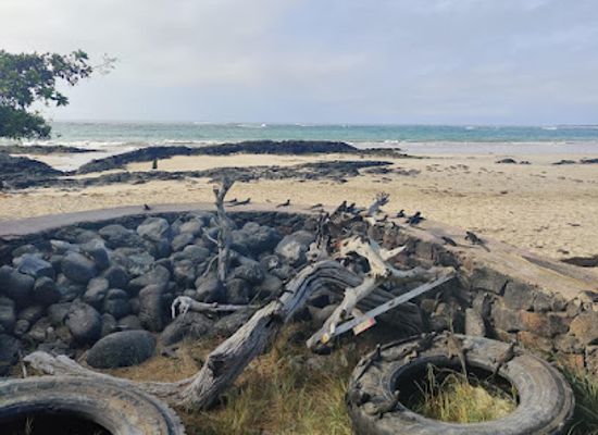 ecuador/galapagos-islands/landmark/pink-iguana-bar