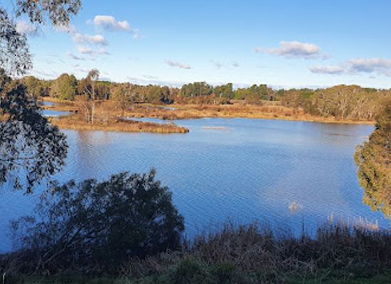 australia/central-highlands/landmark/cecil-hoskins-nature-reserve