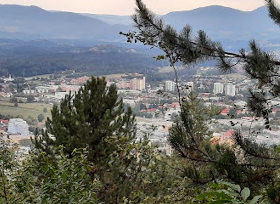 slovenia/celje/landmark/celje-treehouse