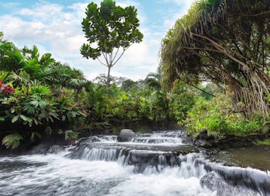 costa-rica/limon/landmark/tabacon-hot-springs