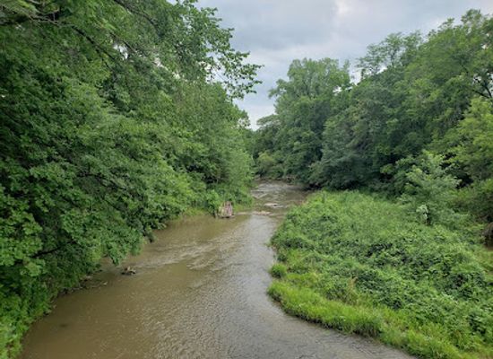 iowa/cedar-valley/landmark/wildcat-den-state-park