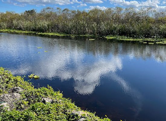 florida/everglades-national-park/landmark/everglades-and-francis-s-taylor-wildlife-management-area-wca-3b
