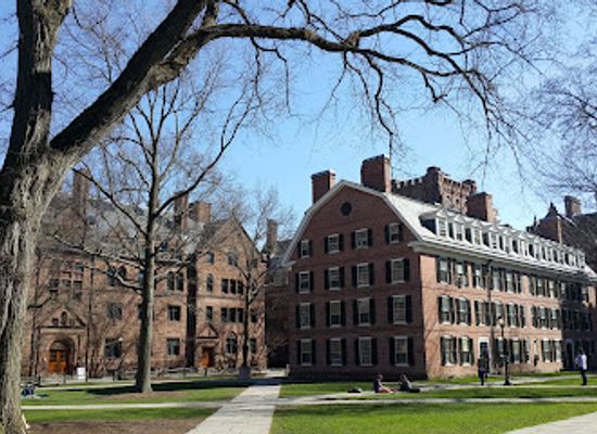 connecticut/greater-new-haven/landmark/yale-old-campus