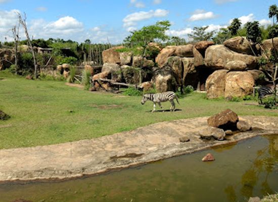 colombia/coffee-axis/landmark/ukumari-park