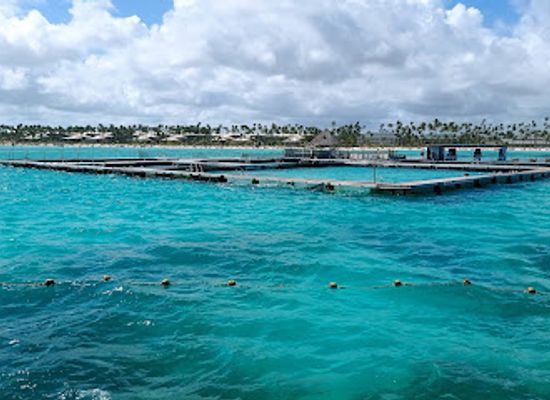 dominican-republic/punta-cana/landmark/seaquarium-punta-cana