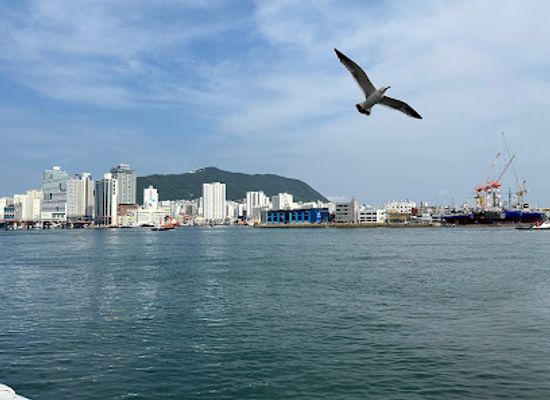 south-korea/busan/landmark/jagalchi-market