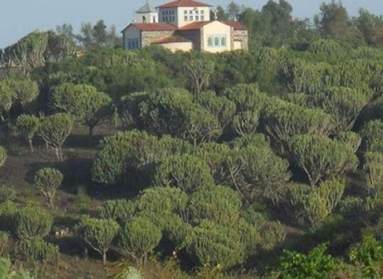 eritrea/adi-quala/landmark/eyamo