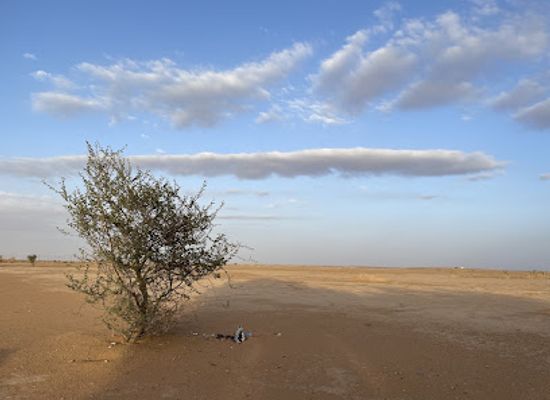 saudi-arabia/najd/landmark/lower-najd