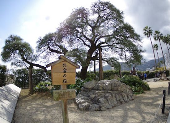 japan/iki/landmark/omiya-green-space