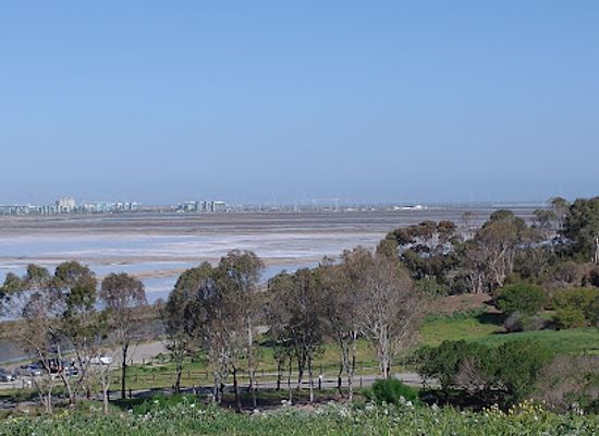 california/menlo-park/landmark/bedwell-bayfront-park