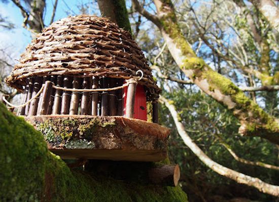 ireland/achill-island/landmark/woodland-faerie-trail
