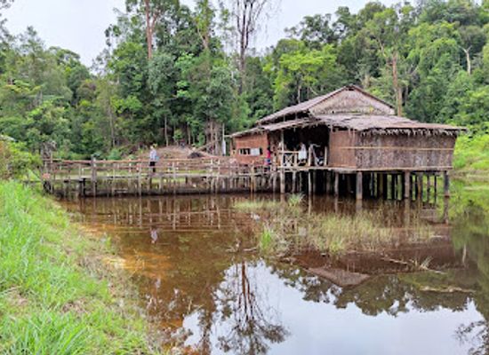 brunei/tutong/landmark/hagap-eco-lodge-nak-pulau