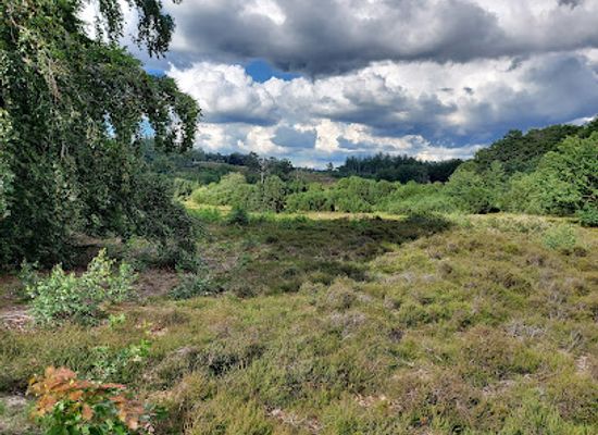 netherlands/overijssel/landmark/lemelerberg