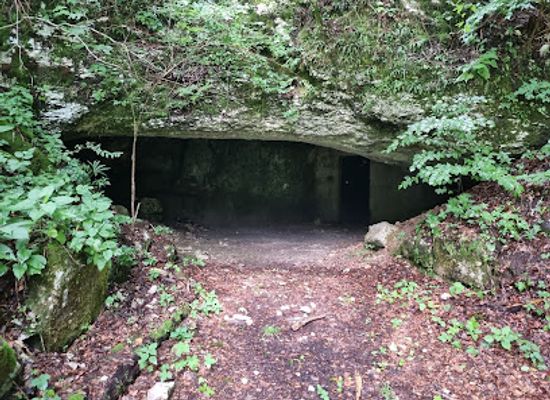slovenia/postojna-cave/landmark/otoska-jama