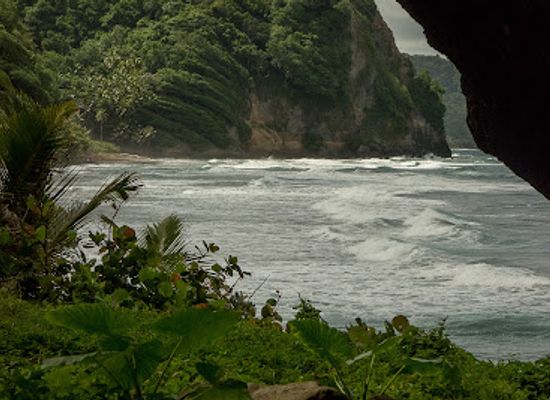 dominica/soufriere-bay/landmark/emerald-pool
