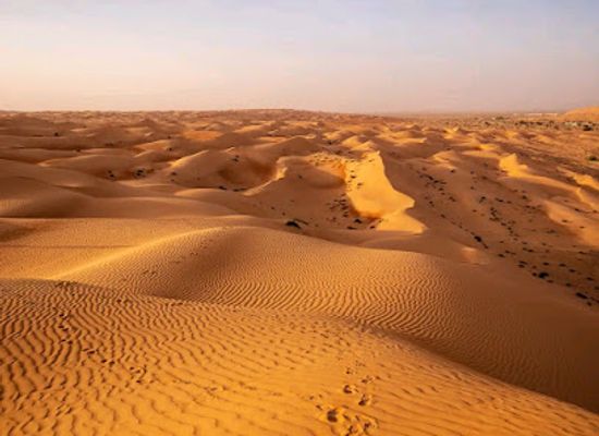 oman/rub-al-khali-desert/landmark/wahiba-sands